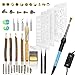 48Pcs Wood Burning Kit, Wood Carving Pen, Embossing, Adjustable Temperature Soldering Iron, Case, Silicone Tips, Stencils, twig pencils, Pyrography, Branding, Engraver Wood Burner, Creative DIY Hobby