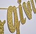 Friendsgiving Gold Glitter Banner, Thanksgiving Friends Party Decoration Photo Props