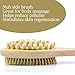 Bath Blossom Bath Body Brush Natural Bristles - Exfoliating Body Brush - Effective for Wet and Dry Body Brushing - Long Handle Shower Back Scrubber Brush - Suitable for Men and Women