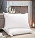 AIKOFUL Feather Down Pillow