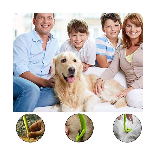 HouChanges 3Pcs Tick Remover Tool,Painlessly Tick for Dogs Cats and Humans Pets Green