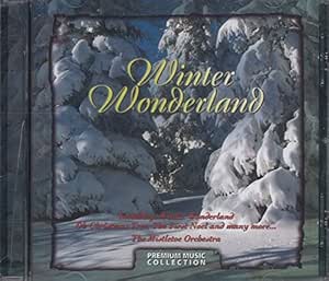 Winter wonderland (piano accompaniment) Various Artists - Winter Wonderland - Amazon.com Music