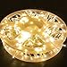 32.8FT 100 LED Indoor/Outdoor Fairy String Lights Plug in, Waterproof Christmas Lights with 8 Lighting Modes for Bedroom, Wedding, Party, Garden, Christmas Tree Decoration