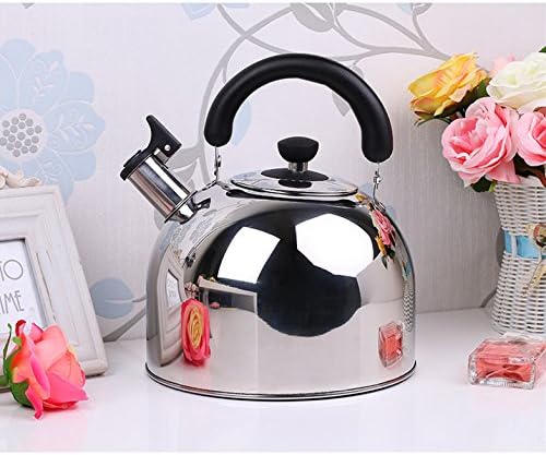 Whistling Tea Kettle - 3 Quart Tea Pot Stainless Steel Tea Kettle for Electric or Gas Stovetop - Cool Cute Modern Tea Kettle Stove Top Teapot Hot Water Whistle - Small Retro Metal Tea Kettle