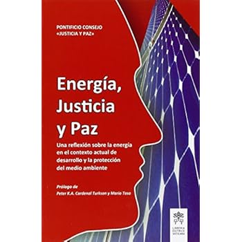 Energía, justicia y paz. Una reflexíon sobre la energía en el contextoactual de desarrollo y la proteccíon del medio ambiente