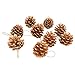 Yarssir 27-Pieces Gold Tipped Real Natural Dried Pine Cones Hand Painted Premium Quality, 1.5-1.9 inch,Christmas Decorations, Centerpieces, Bowl Filler,Displays Crafting Holiday Decor (4-5cm, Gold)
