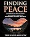 Finding Peace: A Workbook on Healing from Loss, Rejection, Neglect, Abandonment, Betrayal, and Abuse by Troy L Love