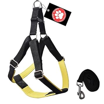 Pawzone Yellow Nylon Body Harness With Leash For Dogs -Medium(3/4 Inch)