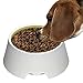 Misyue Dogs No Spill Proof Water Bowl Slow Feeder 1000ML(34OZ) 2 in 1 Innovative No Spill Dripless Cat&Dog Bowl