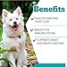 Vets Preferred Wild Alaskan Salmon Oil for Dogs – Premium Omega 3 Fish Oil for Healthy Dog Coat – Immune Support and Heart Health – All Natural – Rich in EPA and DHA