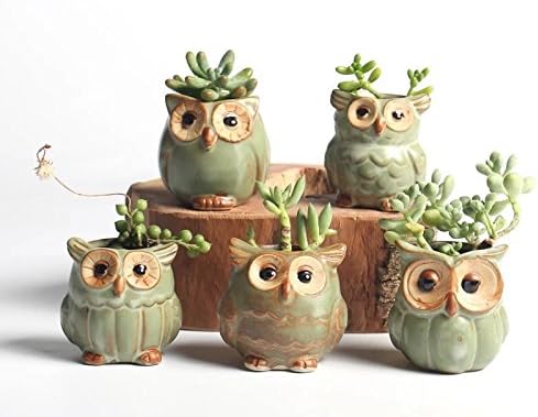 SweetLifeIdea 2.5" Tall Ceramic Owl Garden Decor Planters and Pots Set for Flowers and Succulent Plants and Cactus 5pcs (Green)