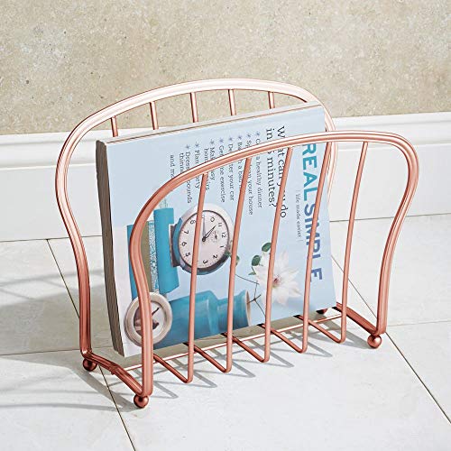 image for mDesign Decorative Metal Wire Magazine Holder, Organizer - Standing Ra