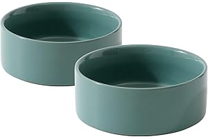 Havniva Ceramic Set of 2 Cat Bowls, Food and Water Bowls for Cats, Kitty, 2pcs Cat Dishes, Cat Feeder(5.1inch, 2 x Light Green Bowls)