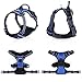 rabbitgoo Dog Harness No Pull with 2 Leash Clips, Adjustable Soft Padded, Reflective Oxford No Choke Pet Vest with Easy Control Handle for Large Dogs, Dazzling Blue, L