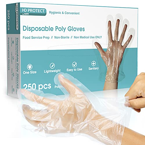 Disposable Plastic Gloves 250 Pack Bulk Food Prep Gloves