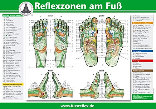 Reflexzonen Am Fuss A4 Amazon De Hanne Marquardt Bucher
