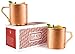 Moscow Mule Hammered Copper Mug Set (16 oz), 100% Pure Copper, Brushed Finish, Premium Weight, Set of 2, Perfect for All Cold Cocktail
