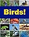 Birds!