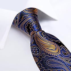 DiBanGu Silk Paisley Ties for Men Woven Necktie and