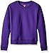 Hanes girls Ecosmart Graphic Sweatshirt Pullover Sweater, Purple Thora, Medium US