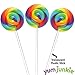Swipple Pops Petite Swirl Ripple Lollipops - 60-Piece Tub (Rainbow)