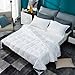 Globon White Goose Down Comforter/Blanket King Lightweight Summer, Real Silent&Soft Down-Proof Shell, 400 Thread Count Hypoallergenic, 18OZ, 700 Fill Power, with Ties, Solid White.