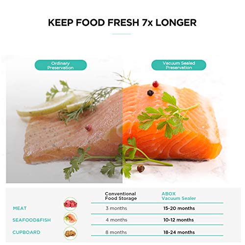 ABOX Vacuum Sealer Machine, Full Automatic Food Saver Machine V66 for