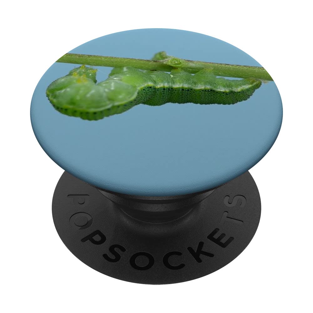 Worms in Earth PopSockets Swappable PopGrip