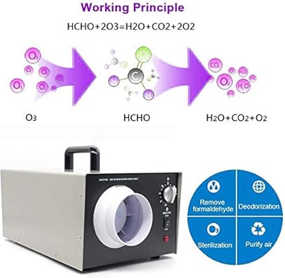 BOYZ Generador De Ozono Profesional, 7000-14000 MG/H Industrial ...