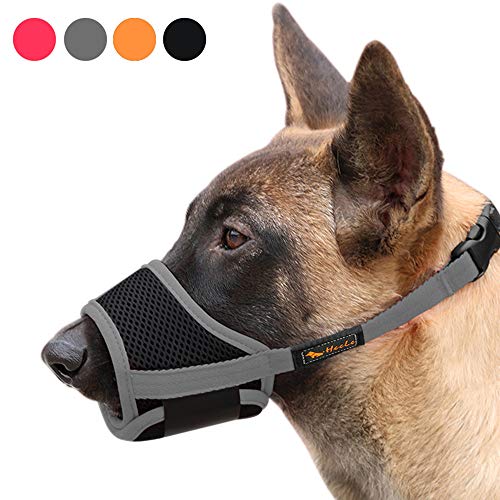 Top 10 Dog Muzzles For Barking of 2020 No Place Called Home
