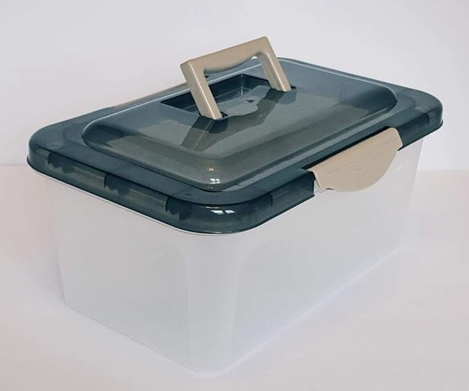 clear storage bins with locking lids