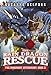The Rain Dragon Rescue (The Imaginary Veterinary, 3)