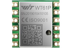 WITMOTION 【WT61P Accelerometer+Tilt Sensor】High-Stability Acceleration(+-16g)+Gyro+Angle(XY Dual-axis)+Quaternion with Kalman Filter, Mpu6050 AHRS IMU (Unaffected by Magnetic Field), for PC/Arduino/Raspberry Pi
