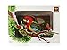 Unido Box Heat Sensor Chirping Bird with Sweet Sound and Body Move As It Chirps (Horizontal, Eastern Rosella)