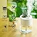 Humidifiers, DCMEKA Mini Small Humidifier for Bedroom, USB Cool Mist Humidifier for Plants, Personal Portable Humidifier with Night Light for baby, office, Whisper Quiet, 4H Timed Auto-off(White)