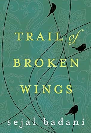 Trail Of Broken Wings Kindle Edition By Sejal Badani Literature Amp Fiction Kindle Ebooks