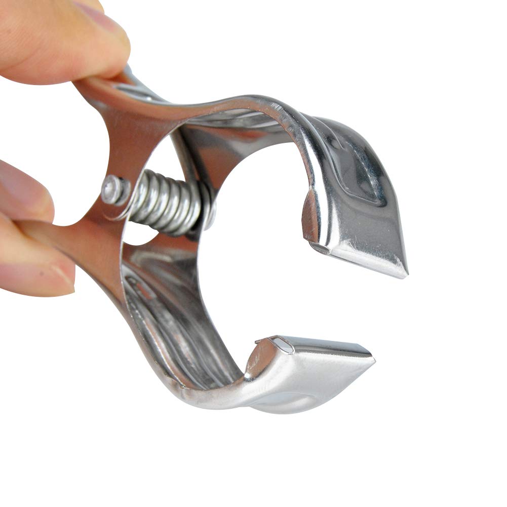 Imagine 10pcs 9cm Stainless Steel Clips Spring Clips Big Clips Windproof Clothespins for Underwear,Socks,Quilts,Clothes,Pants,Shirts