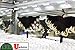 Storefront LED Light, 60ft Super Bright Pure White 5630 Injection Module with UL 12v AC Power Supply