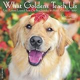 What Goldens Teach Us 2020 Wall Calendar (Dog Breed Calendar) by