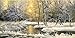 Startonight Canvas Wall Art Winter on the Lake - Landscape Framed 24 x 48 Inches