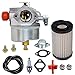 632795A Carburetor with 35066 Air Filter replacement for Tecumseh 632795 632046A 632078A 632099 TVS90 TVS100 ECV100 TVS120 TVS105 TVS115 TVXL115 TVXL90 TNT120 LAV35 TVXL115 TVS75 TVXL105 Engine Carb