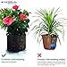 MAXSISUN 5-Pack 5 Gallon Plant Grow Bags, Heavy Duty Thickened Non-Woven Aeration Fabric Pots Container with Reinforced Handles for Gardeningthumb 4