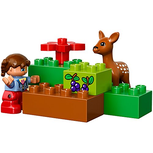 LEGO duplo 10584 Park Forest - Main Image