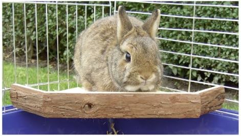 Kerbl Vantage Point for Rabbit, 26 x 26 x 4 cm