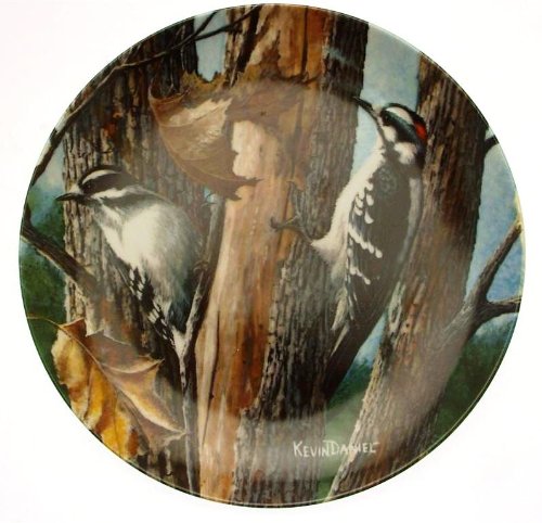 Knowles c1987 The Downy Woodpecker Kevin Daniel Encyclopaedia Britannica Birds of your Garden CP1571