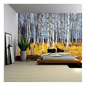 Landscape Mural of a Birch Tree Forest - Wall Mural, Removable Sticker, Home Decor - 66x96 inches