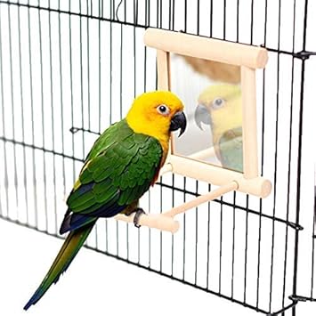EisEyen Papageienspielzeug Holz Glocke Spiegel Gross,Vogelnest mit Sitzstange für Käfige, Vogelspielzeug für Papageien, Welle