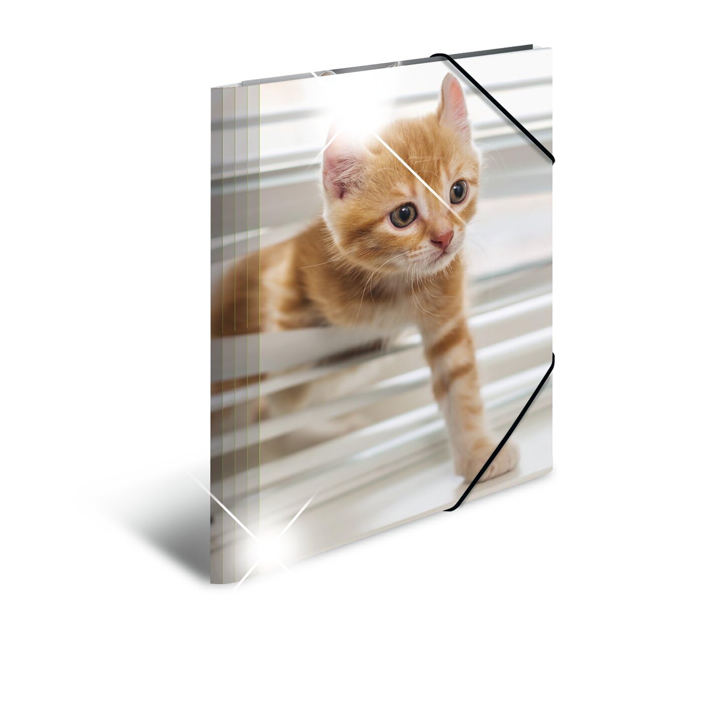 HERMA Elastic Folder Animals with Cats Motif, A4, Glossy Plastic, with Inner Print, 1 Span Folder