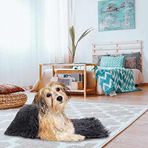 Legendog Lit pour chat, 2PC en peluche Donut gris chaud lit de chat rond nid chaud nid de chat doux + couverture souple gris