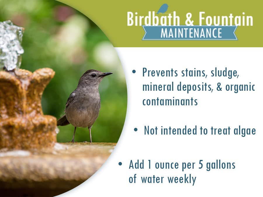 Sanco Bird Bath & Fountain Maintenance, FastActing EnzymeBased